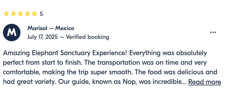pon elephpant chiangmai thailand reviews